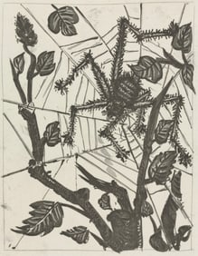 Pablo Picasso, L'Araignée, Histoire naturelle, Limited Edition Lithograph