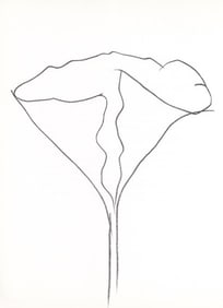 Ellsworth Kelly, Lotus (Axsom I-C), Hommage à Aimé et Marguerite Maeght, Derrière le