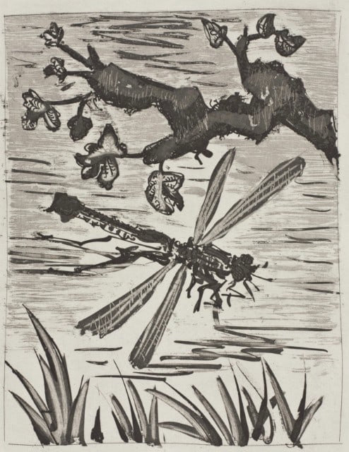 Pablo Picasso, La Libellule, Histoire naturelle, Limited Edition Lithograph (1 of 10)