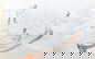 item-210480513=1