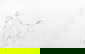 item-210480827=1