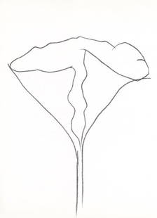Ellsworth Kelly, Lotus (Axsom I-C), Hommage à Aimé et Marguerite Maeght, Derrière le: Lithograph on v&#233;lin paper. Paper size: 15 x 11 inches. Excellent condition. Inscription: Unsigned and unnumbered, as issued. Notes: From Derri&#232;re le miroir, Hommage &#224; Aim&#233; et Margu
