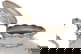 item-210490299=19