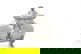 item-210490299=6
