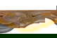 item-210490324=13