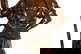 item-210490345=14