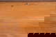 item-210490359=8