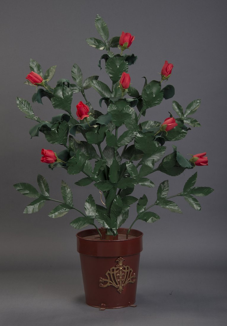 Flowering Rose Bush – Petrie & Lewis (1 of 1)