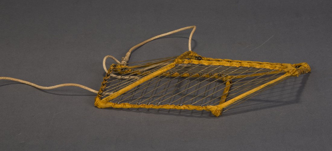 Challenge Vanishing Bird – F. G. Thayer – F. G. Thayer (1 of 1)