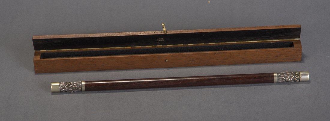 Kikkoman Magic Wand – Carl Williams (1 of 1)