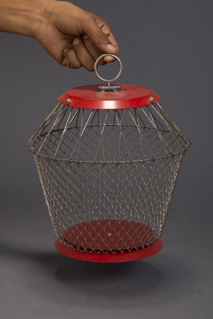 “Starlet” Production Cage - Star Magic (1 of 1)