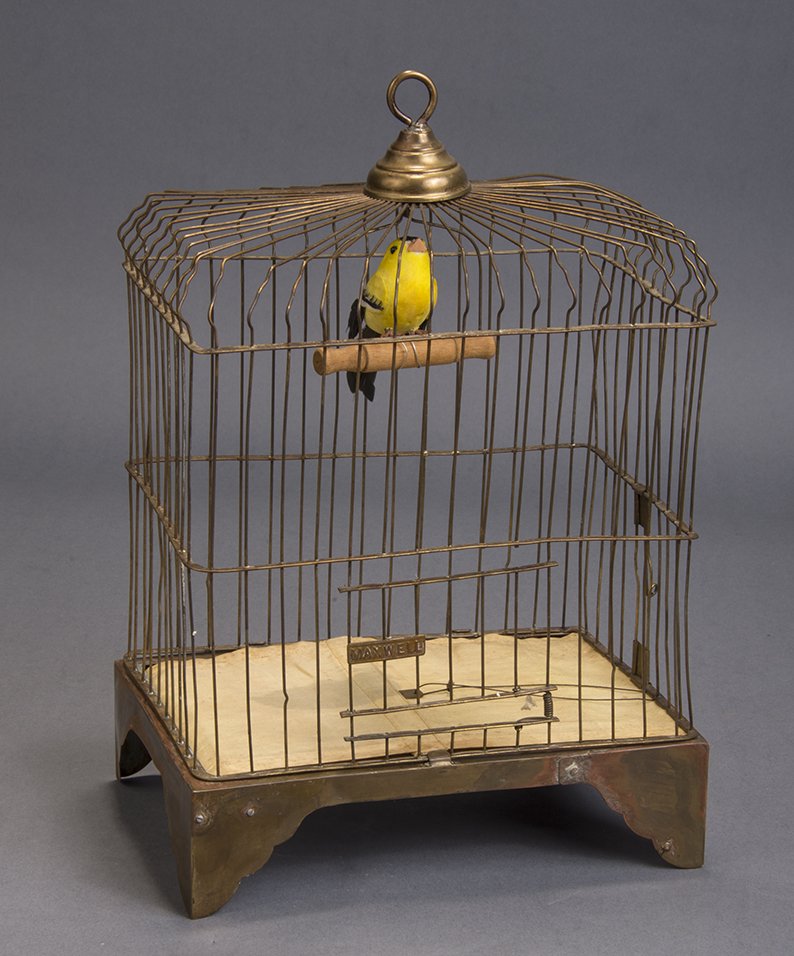 Appearing Canary Cage, after Martinka (1 of 1)