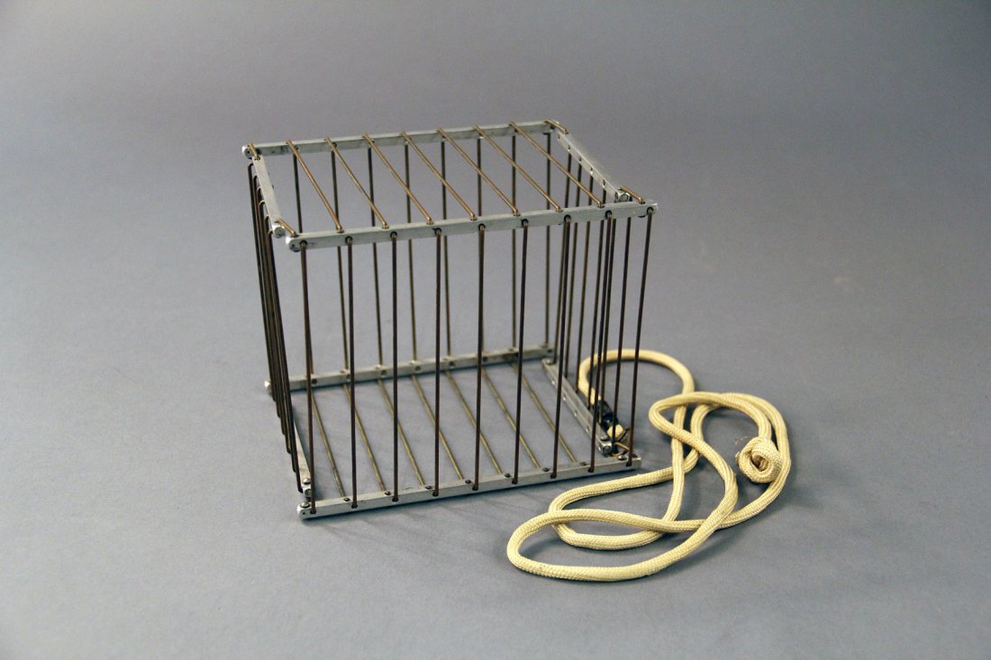 Challenge Cage Vanish - Owen Magic (1 of 1)