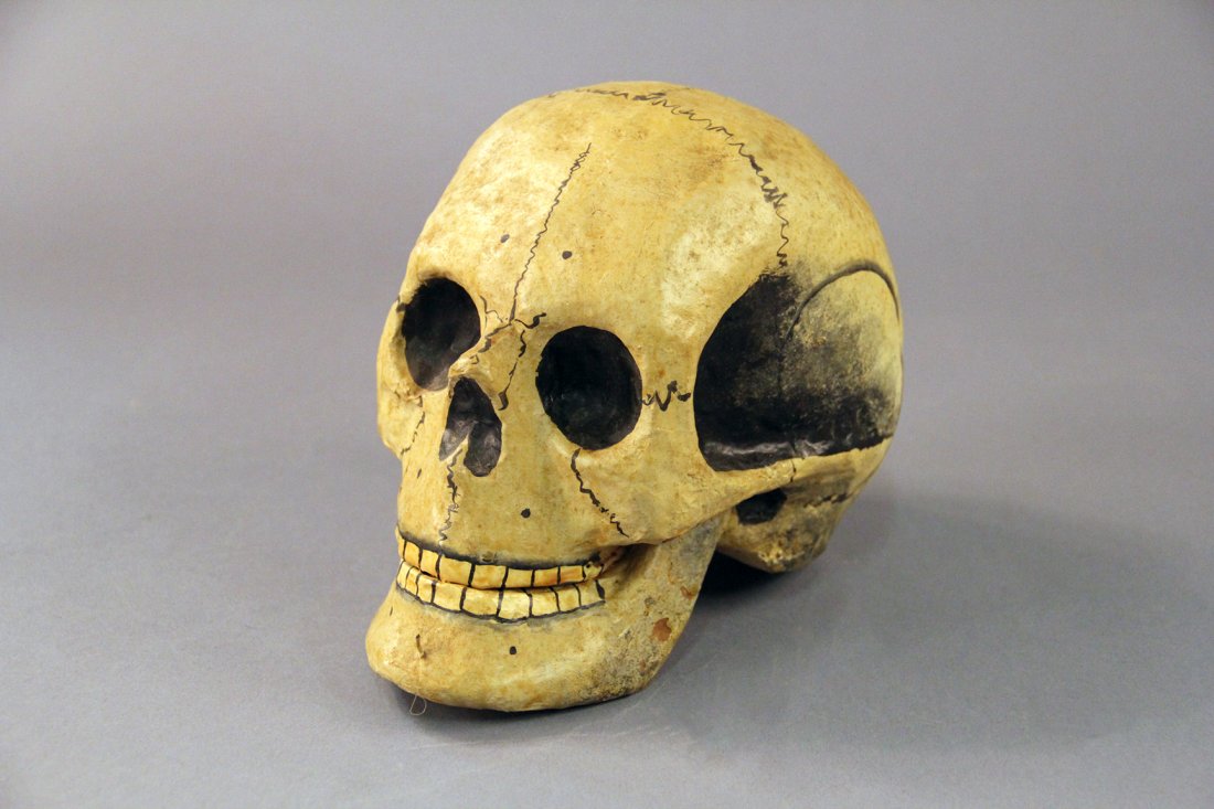 Talking Skull - Thayer? (1 of 1)