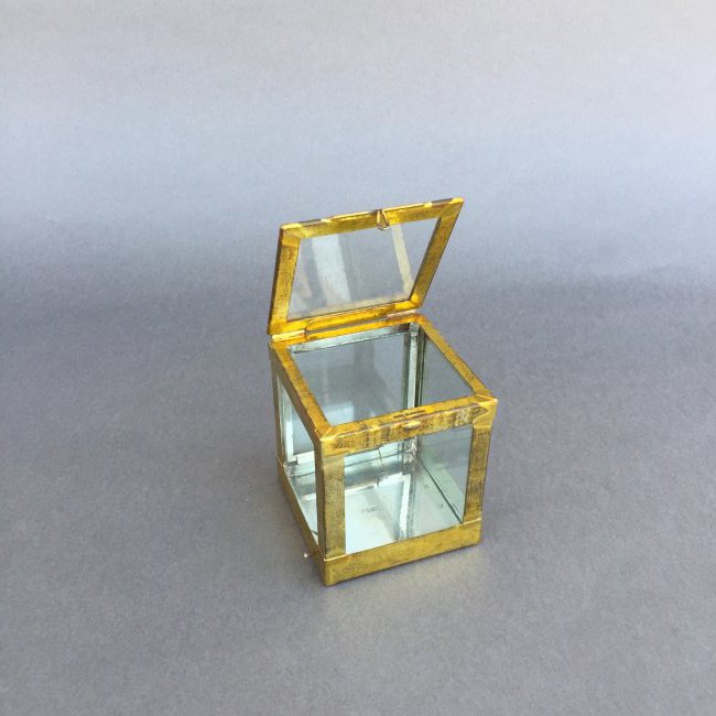 Crystal Casket (1 of 2)