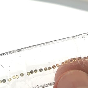 Loose Gemstones String of Small Gradient Color Citrines - - x