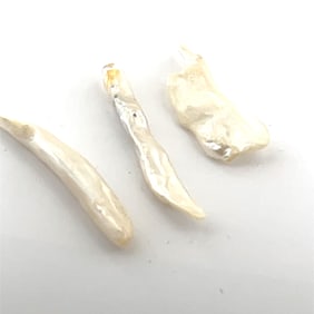 Mother of Pearl Organic Shard Shapes Lot - - 29.4x10.5