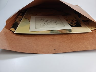 Amateur Art Portfolio Nicola K Lonski - Mid Century