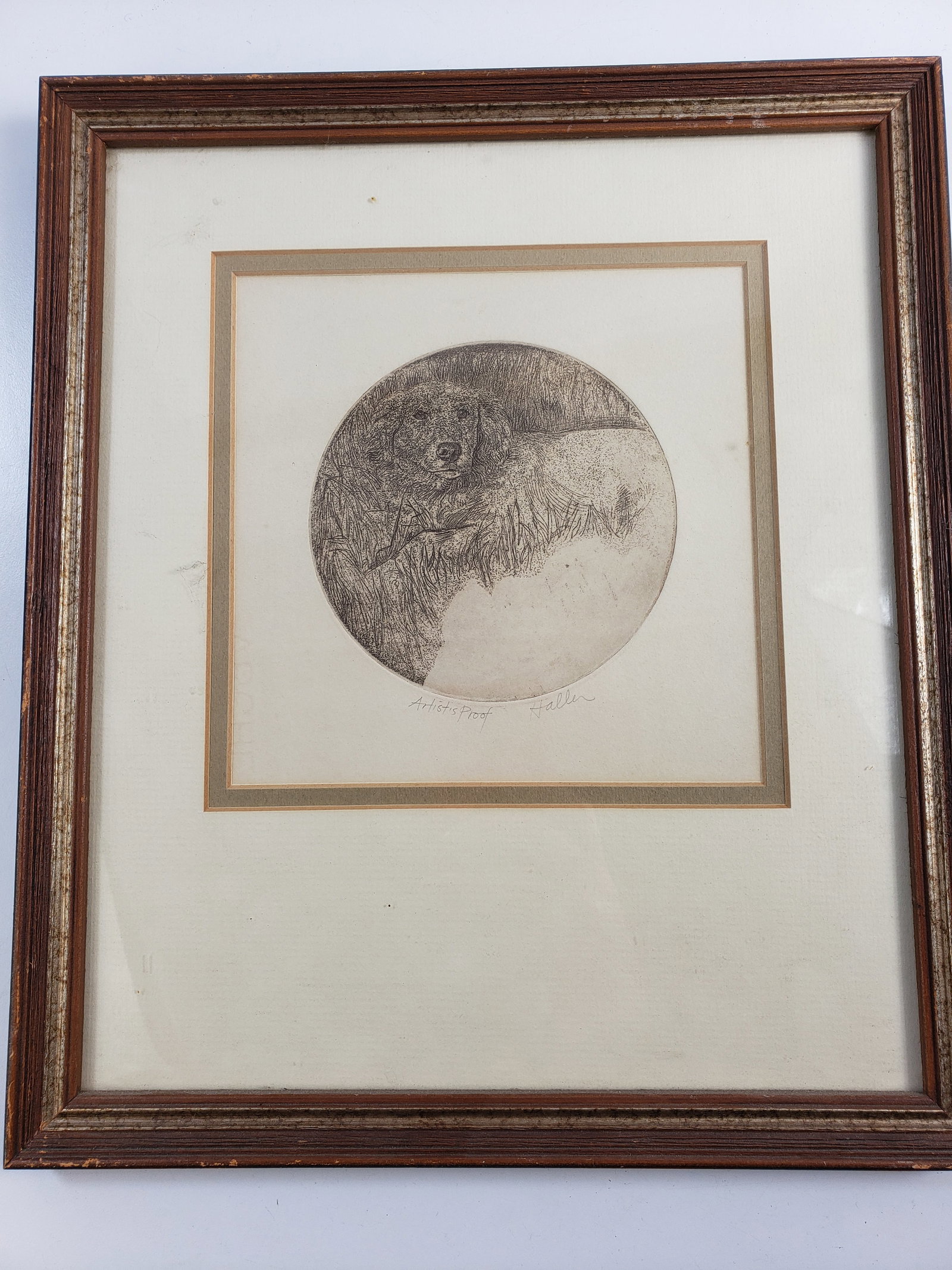 Vintage Engraving of a Dog Artists Proof Signed Haller (1 of 4)