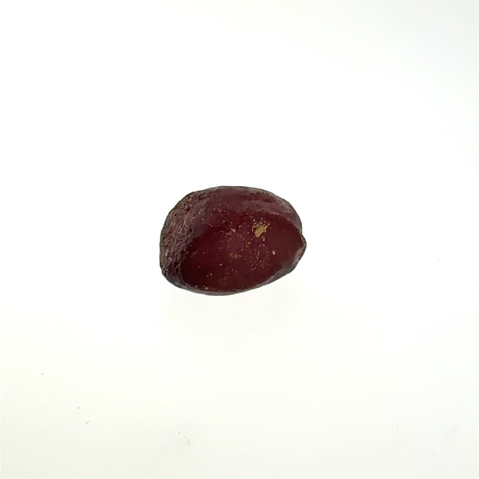 Rough Garnet Gemstone 14.7x10mm 15.5ct: This is a continuation of our pro jeweler's estate auction, but we've added some gems from another estate (JTV). The rest are from his personal collection, many faceted by himself. Gems were cataloged