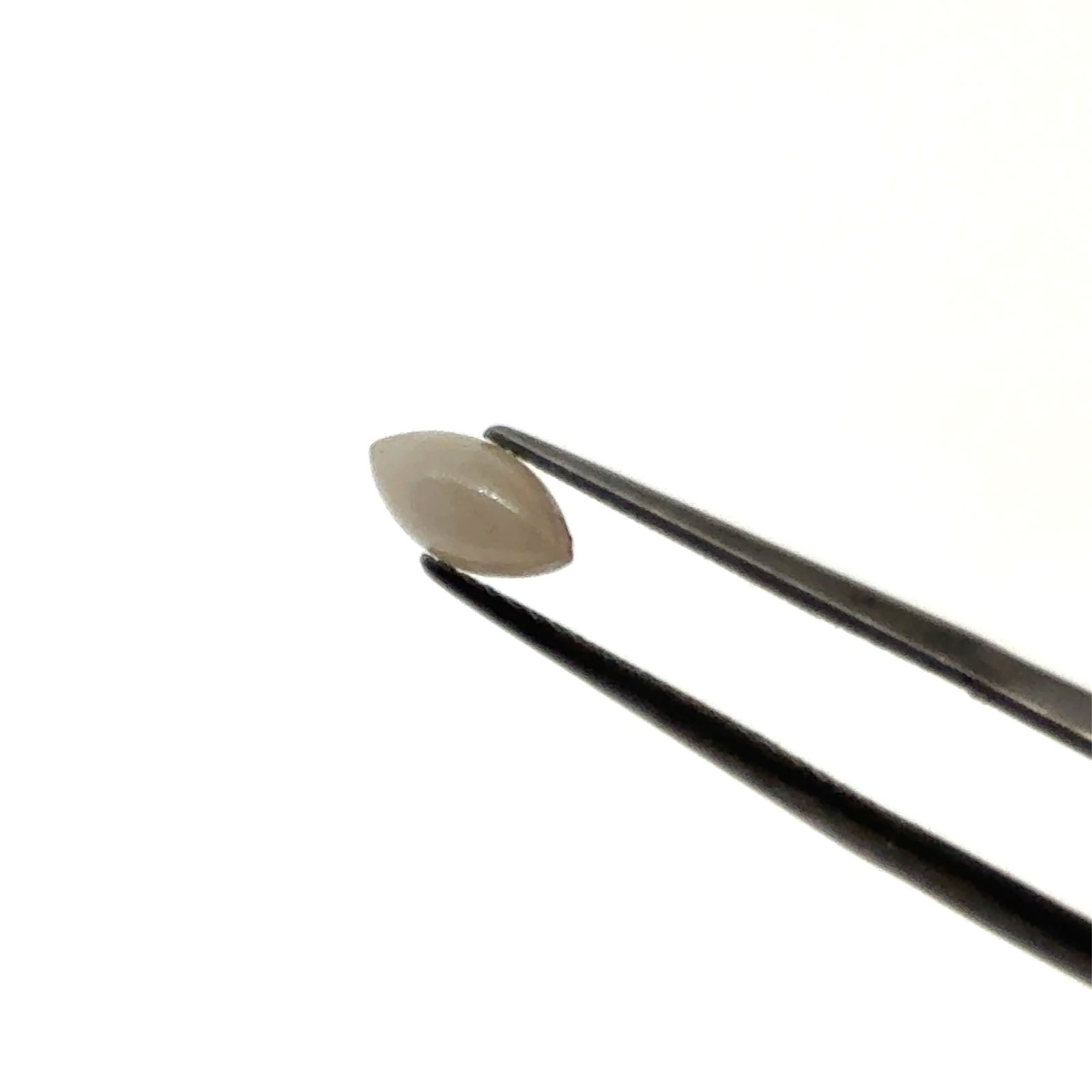 White Jade Marquis Cut Cabochon 7.3x3mm: This is a continuation of our pro jeweler's estate auction, but we've added some gems from another estate (JTV). The rest are from his personal collection, many faceted by himself. Gems were cataloged