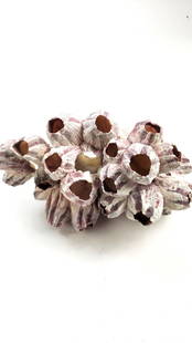 Decorative Barnacle Cluster Coral Light Red and White: This auction contains a wide range of vintage estate items and collectibles all sold with no reserve.Local pick up details will be provided at the end of the sale. In-house shipping is available at th