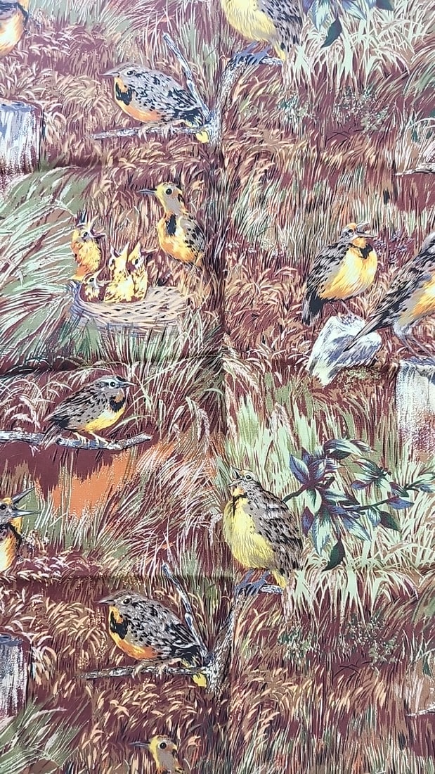 The State Birds by Susan Ellis for Northcott Meadowlark 903730 Vintage Cotton Fabric 20 X 18: Large assortment of vintage fabric from an estate. Fabric is described as per the bolt it is on and measurements are approximate based on the updated bolt markings and counting wraps.Local pick up is
