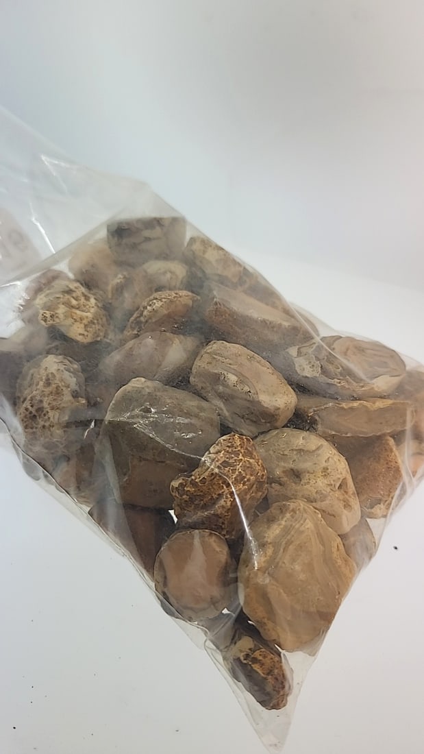 Rough Natural Agate 1lb 11oz: This is a continuation of our pro jeweler's estate auction. These are from his personal collection, many faceted by himself. Gems were cataloged with the assistance of GIA certified jewelers. Weights