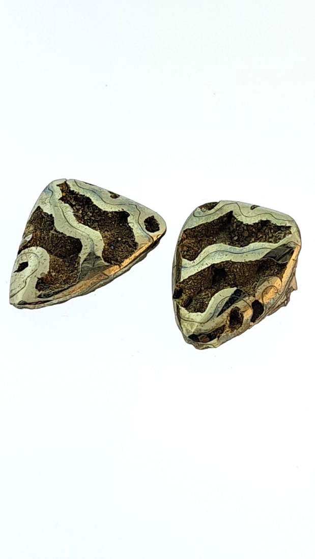 Polished Ammonite With Pyrite Triangle Pair 20.9x15.5mm (1 of 6)