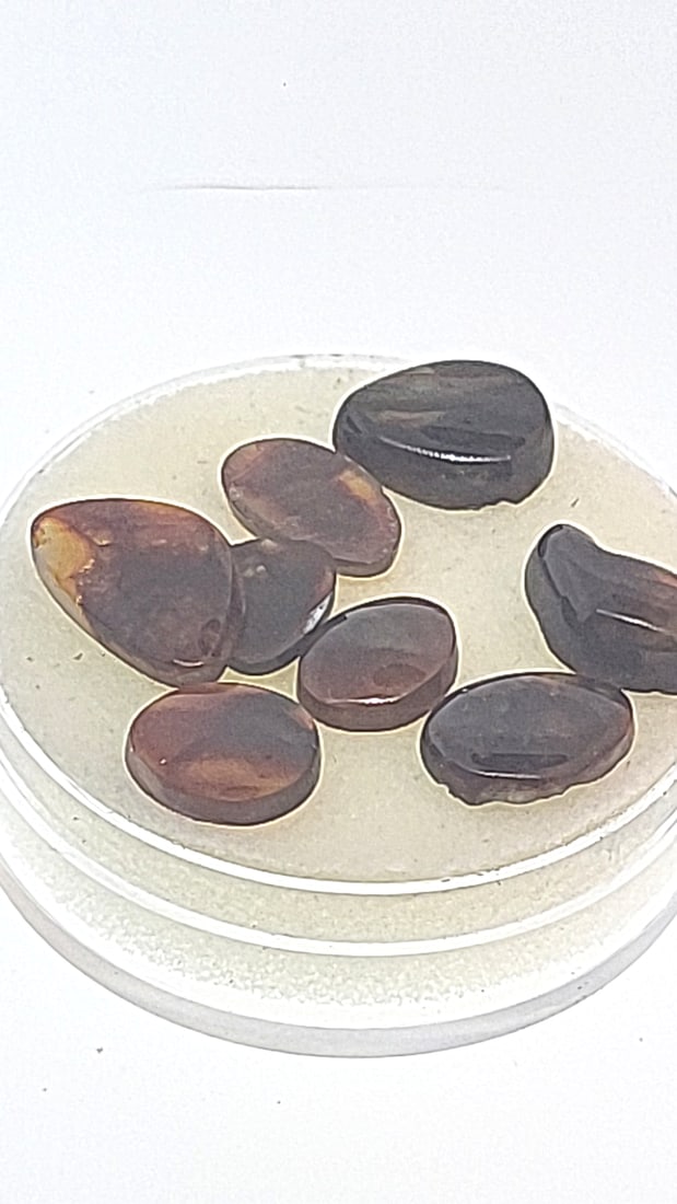 Large Lot Fire Agate Cabochon 20.7ct: This is a continuation of our pro jeweler's estate auction. These are from his personal collection, many faceted by himself. Gems were cataloged with the assistance of GIA certified jewelers. Weights