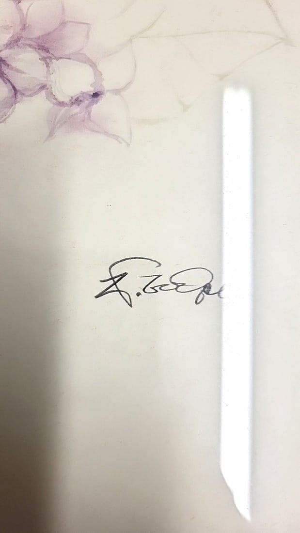 Framed Butterfly Art Print Swallowtail Signed Illustration 20" x 16" - 2