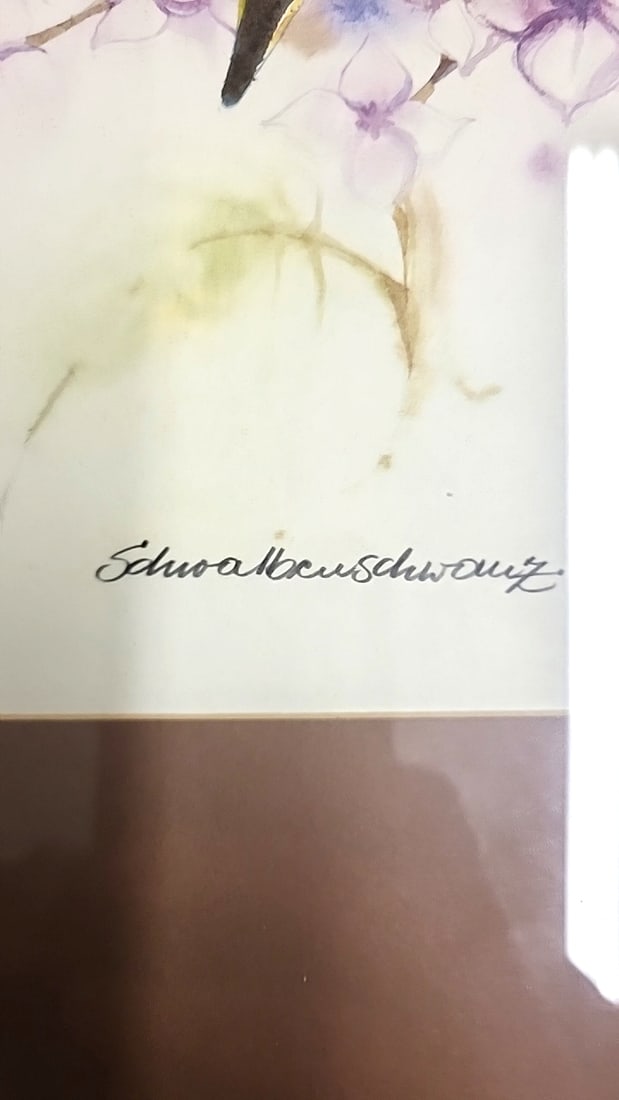 Framed Butterfly Art Print Swallowtail Signed Illustration 20" x 16" - 3