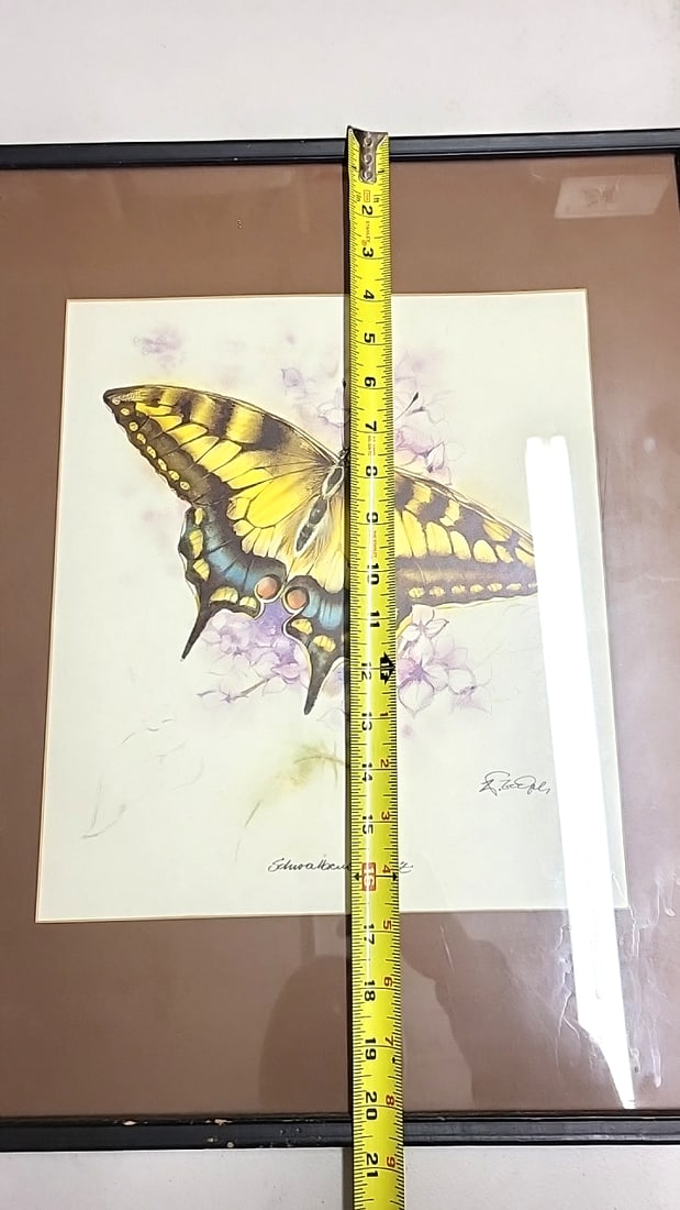 Framed Butterfly Art Print Swallowtail Signed Illustration 20" x 16" - 5