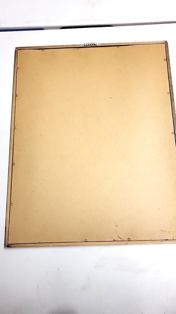 Framed Butterfly Art Print Swallowtail Signed Illustration 20" x 16" - 7