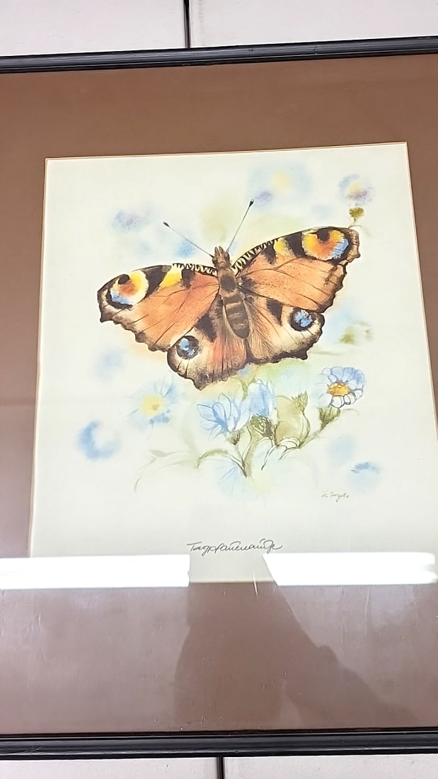 Butterfly Print in Black Frame with Brown Matte - Signed Artwork 20" x 16" - 2