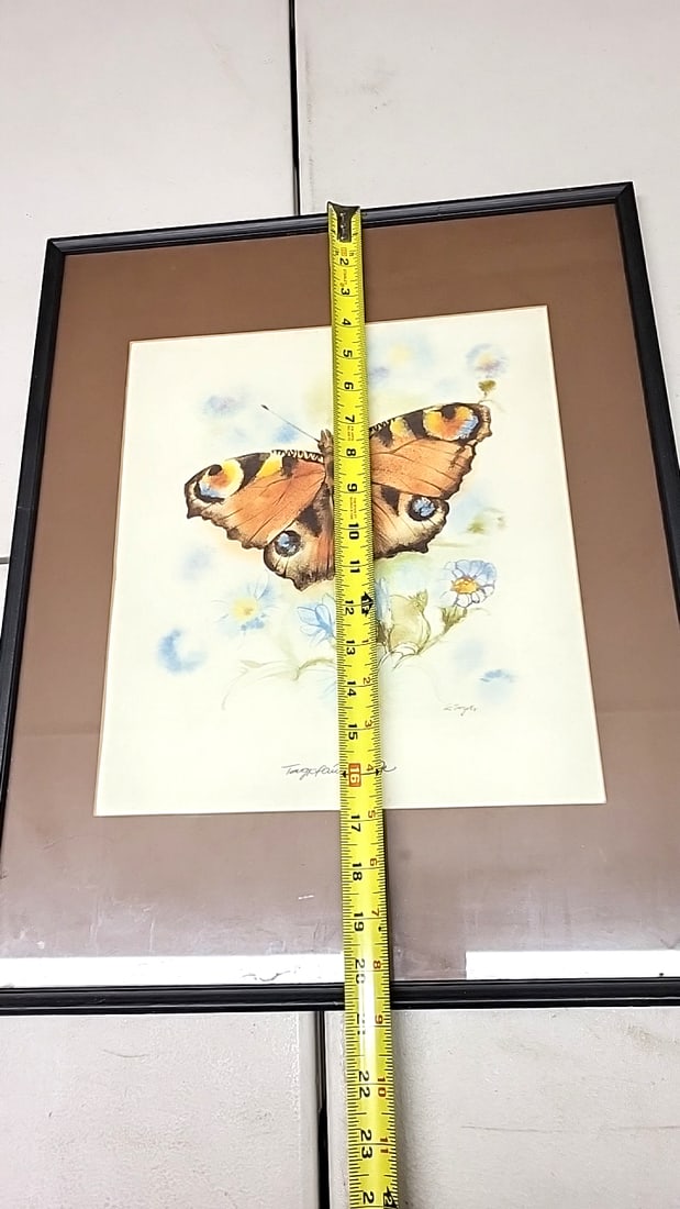Butterfly Print in Black Frame with Brown Matte - Signed Artwork 20" x 16" - 6