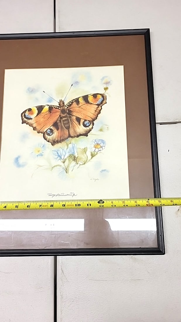 Butterfly Print in Black Frame with Brown Matte - Signed Artwork 20" x 16" - 7