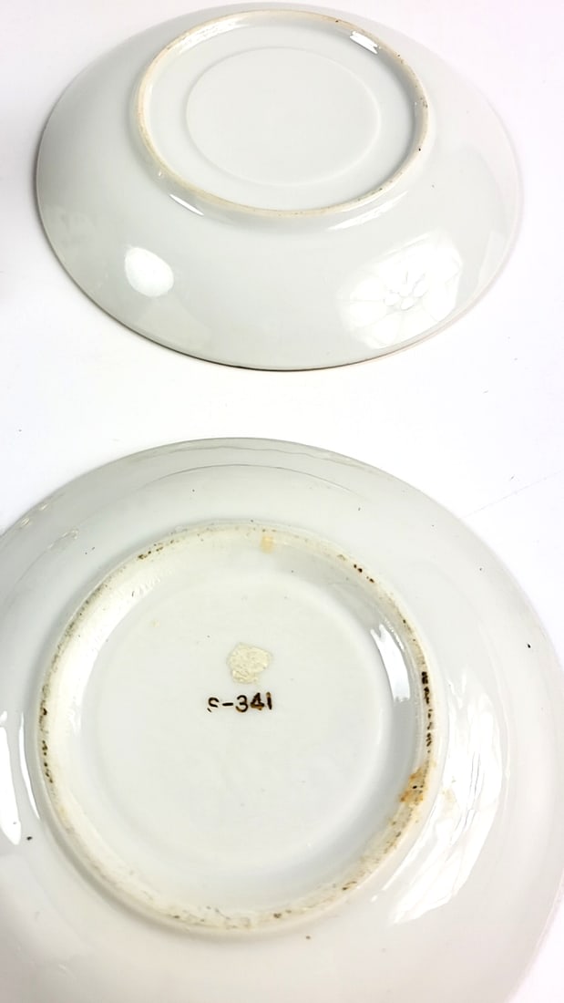 Arizona Themed Porcelain Demitasse Cups & Saucers Set, Roadrunner, Cactus Design - 10