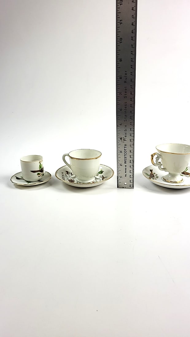 Arizona Themed Porcelain Demitasse Cups & Saucers Set, Roadrunner, Cactus Design - 12