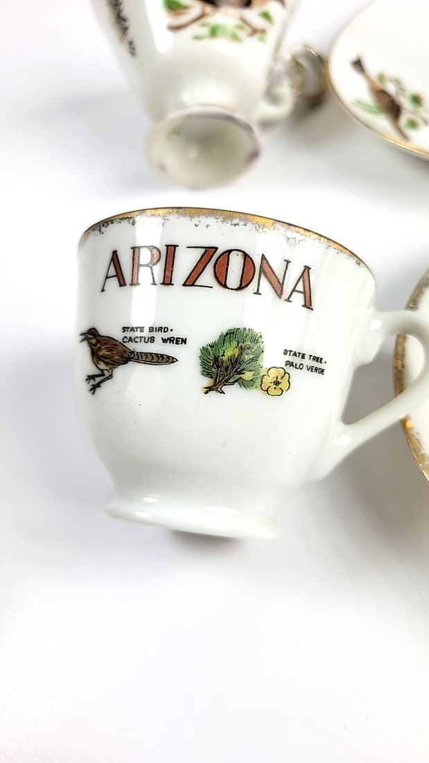Arizona Themed Porcelain Demitasse Cups & Saucers Set, Roadrunner, Cactus Design - 6