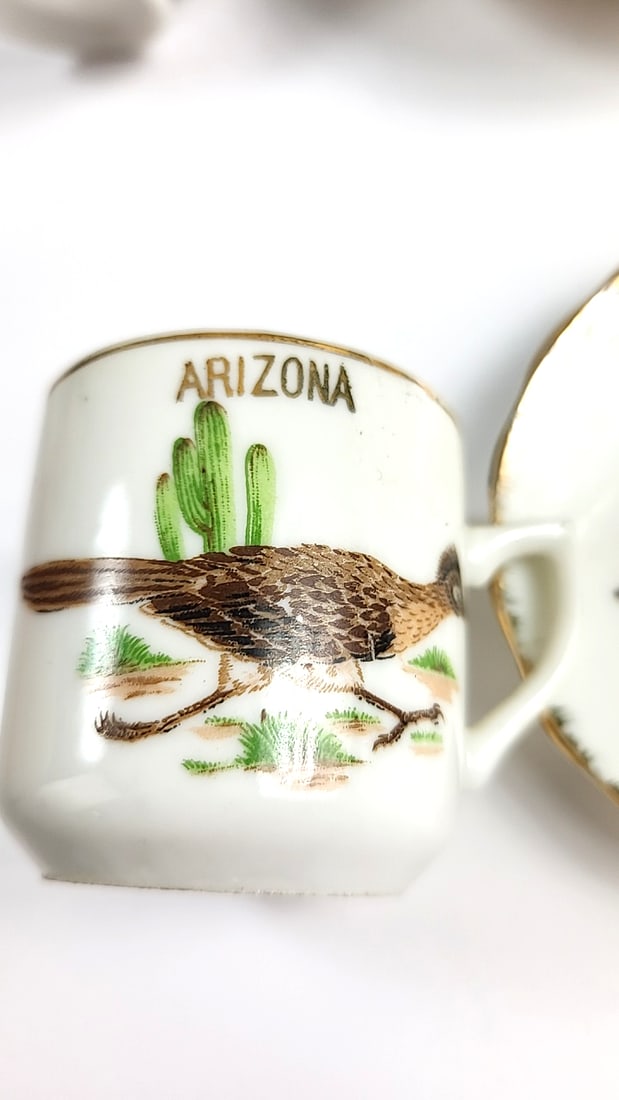 Arizona Themed Porcelain Demitasse Cups & Saucers Set, Roadrunner, Cactus Design - 7