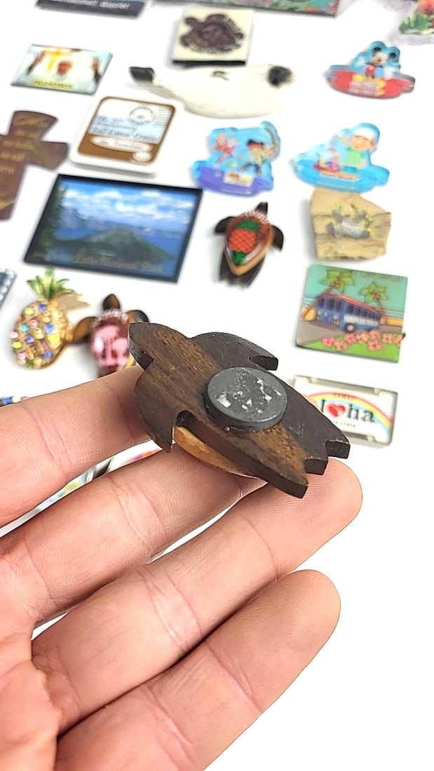 Vintage Souvenir Magnet Collection Hawaii Carlsbad National Park Pope Traveling Etc Theme Decor - 13