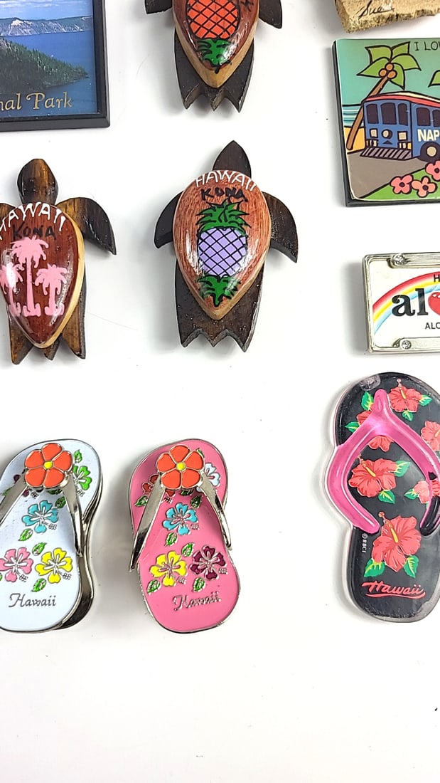Vintage Souvenir Magnet Collection Hawaii Carlsbad National Park Pope Traveling Etc Theme Decor - 2