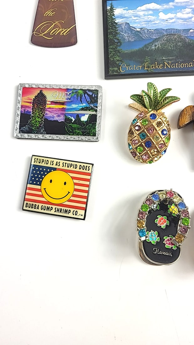 Vintage Souvenir Magnet Collection Hawaii Carlsbad National Park Pope Traveling Etc Theme Decor - 3