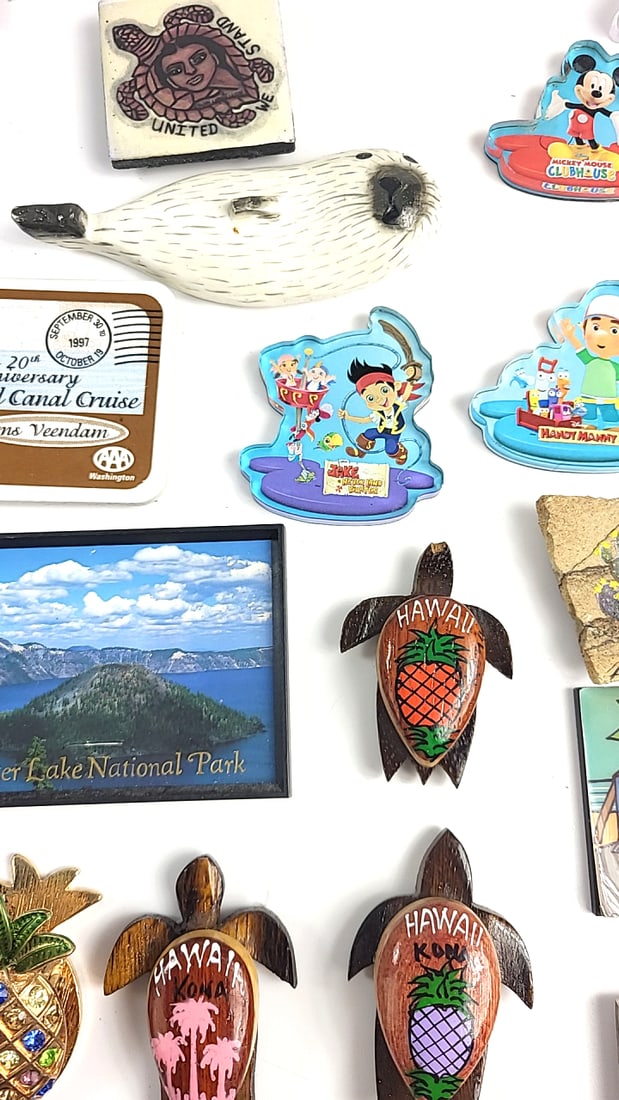 Vintage Souvenir Magnet Collection Hawaii Carlsbad National Park Pope Traveling Etc Theme Decor - 5