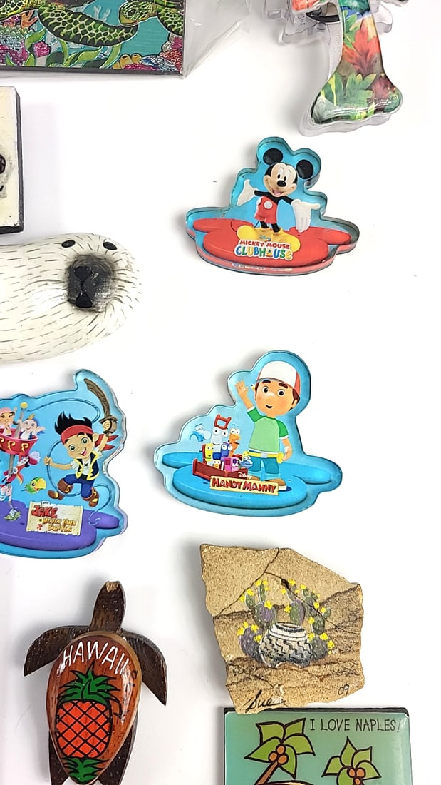 Vintage Souvenir Magnet Collection Hawaii Carlsbad National Park Pope Traveling Etc Theme Decor - 6