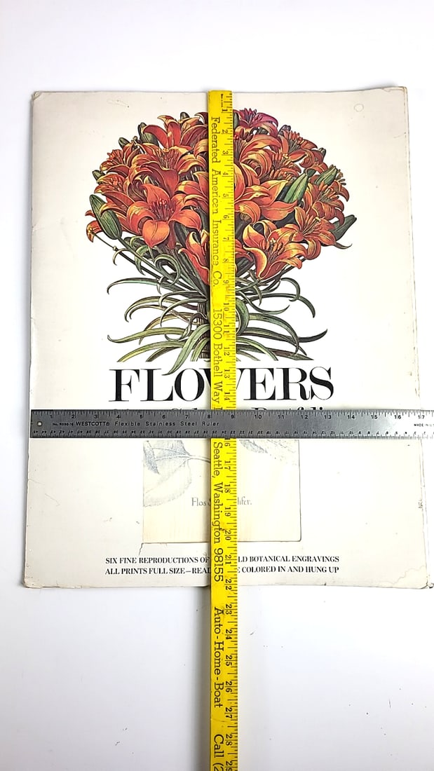 Vintage 1977 Flowers Giant Coloring Portfolio Botanical Engravings Collection 22" x 17" - 2