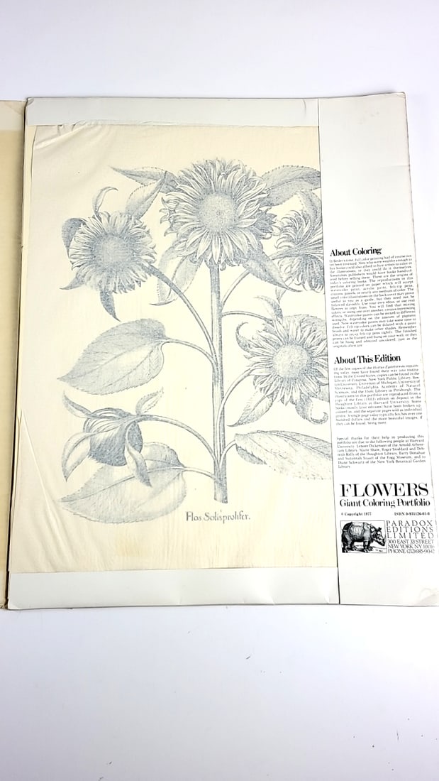 Vintage 1977 Flowers Giant Coloring Portfolio Botanical Engravings Collection 22" x 17" - 3