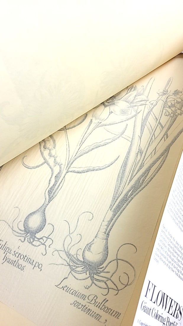 Vintage 1977 Flowers Giant Coloring Portfolio Botanical Engravings Collection 22" x 17" - 4