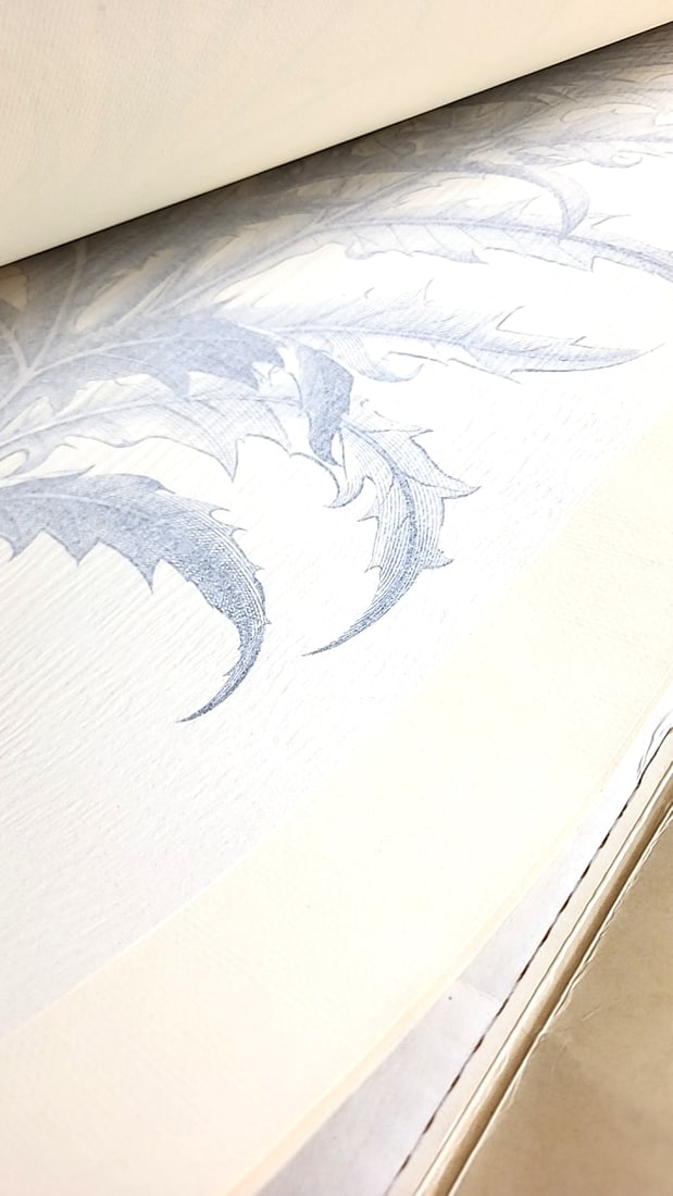 Vintage 1977 Flowers Giant Coloring Portfolio Botanical Engravings Collection 22" x 17" - 5